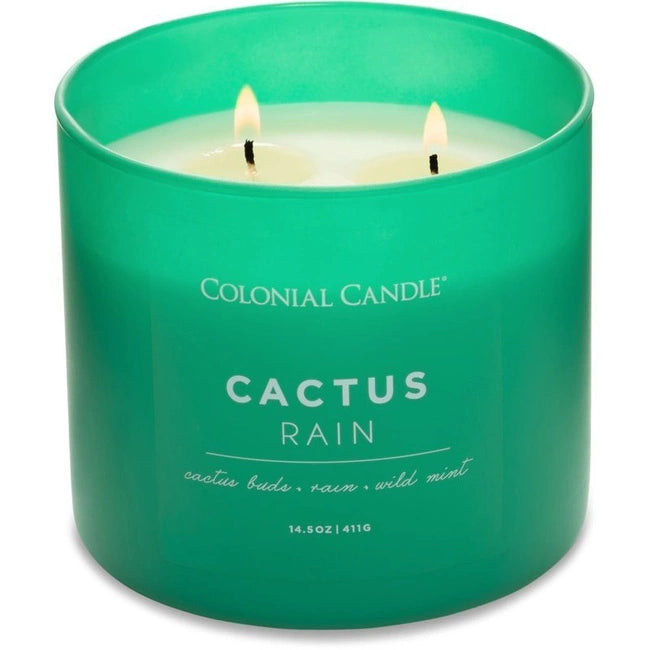 Soja geurkaars in glas 3 lonten - Cactus Rain Colonial Candle
