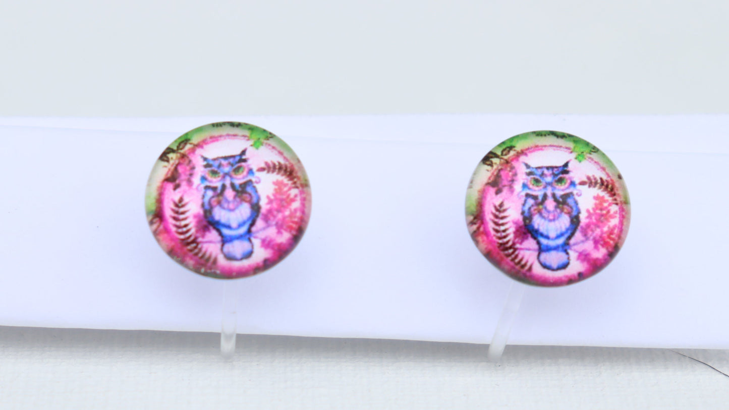 Doorzichtige clip -on oorbellen met blauwe uil