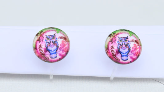 Doorzichtige clip -on oorbellen met blauwe uil