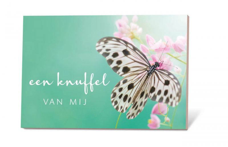 Zaadje in een kaartje