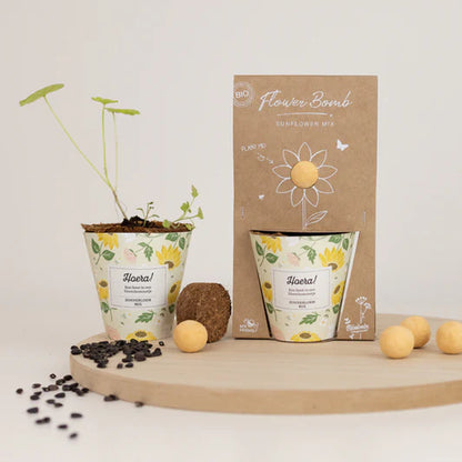 GrowKitHoera_metZonnebloemMixZaadbommetje2