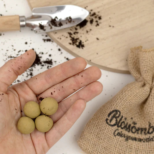 GrowkitBedanktmetTuin-enKeukenkruidenMixZaadbommetje3