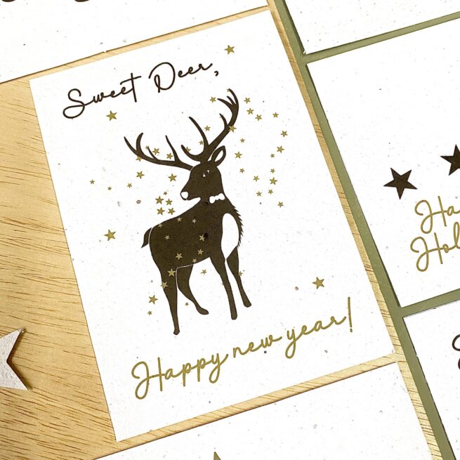 BLOOM your message Kerstkaart - bloeikaart