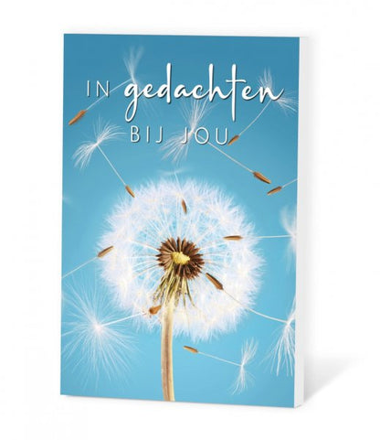 Zaadje in een kaartje