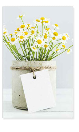 Postkaart