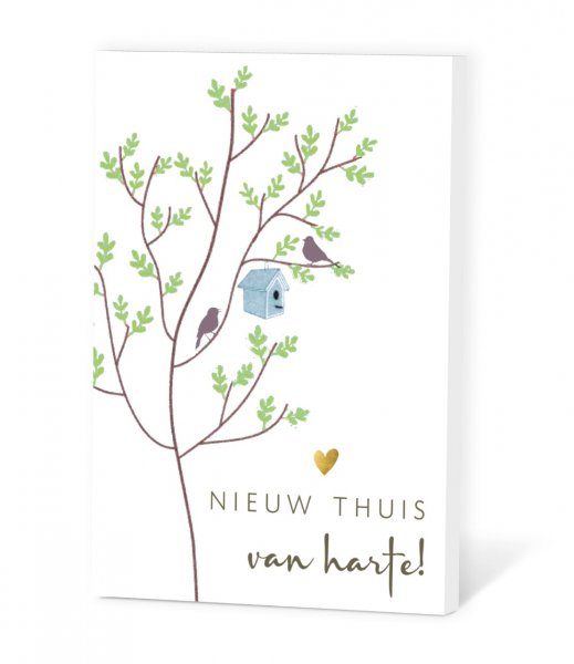 Zaadje in een kaartje