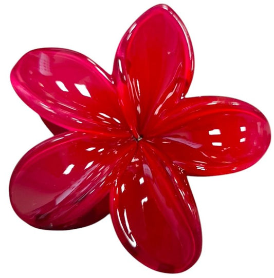 Wijn rode hawaii bloem haarklem